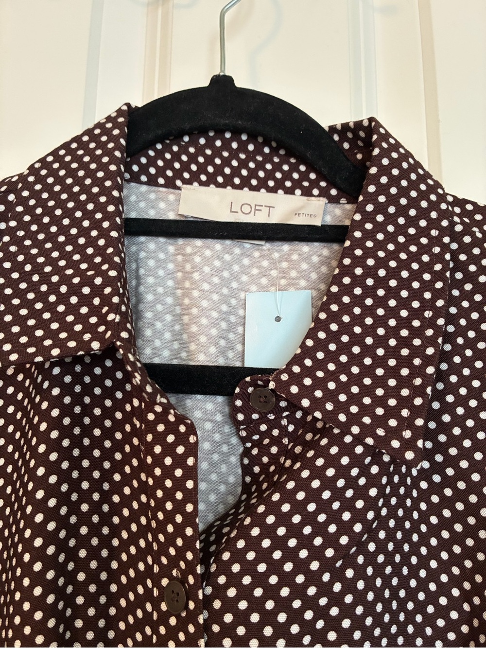 LOFT Women Brown Polka Dot Button-Down Skirt